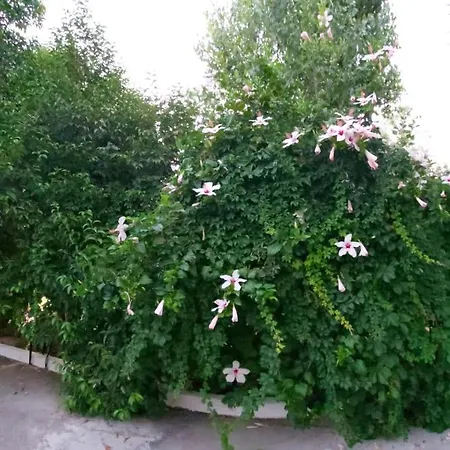 Готель Monte Vardia Ханья (Крит)