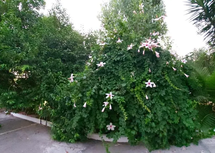 Hotell Monte Vardia Chania (Crete)